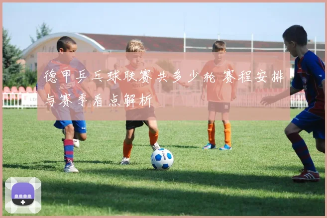 德甲乒乓球联赛共多少轮 赛程安排与赛季看点解析