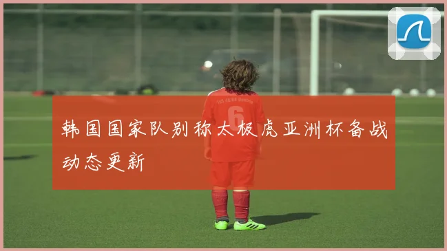 韩国国家队别称太极虎亚洲杯备战动态更新