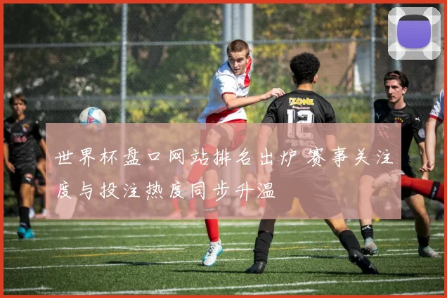 世界杯盘口网站排名出炉 赛事关注度与投注热度同步升温