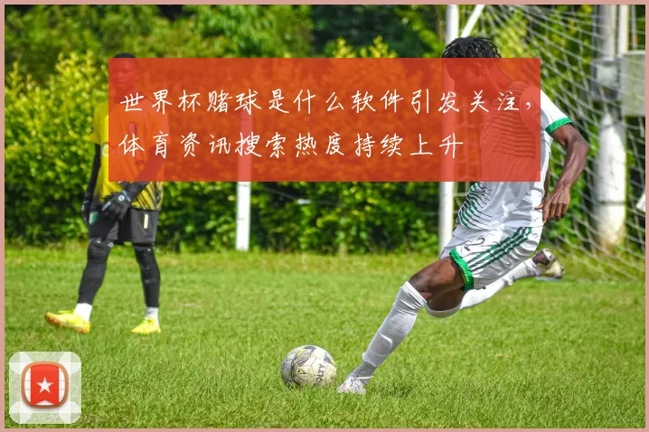 世界杯赌球是什么软件引发关注，体育资讯搜索热度持续上升