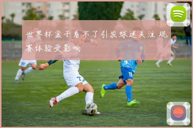 世界杯盒子看不了引发球迷关注 观赛体验受影响