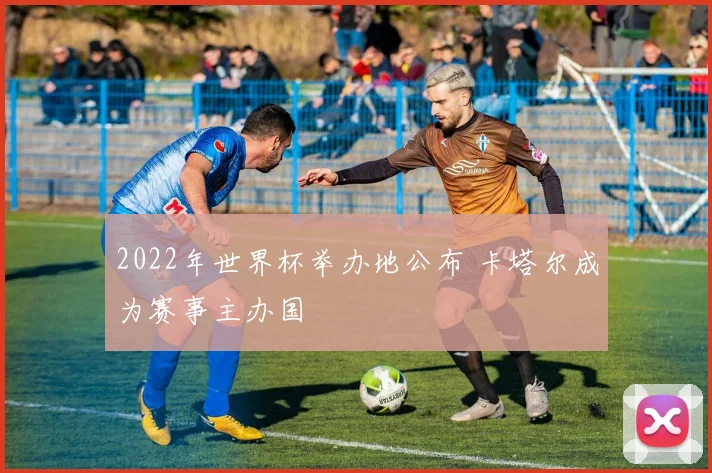 2022年世界杯举办地公布 卡塔尔成为赛事主办国