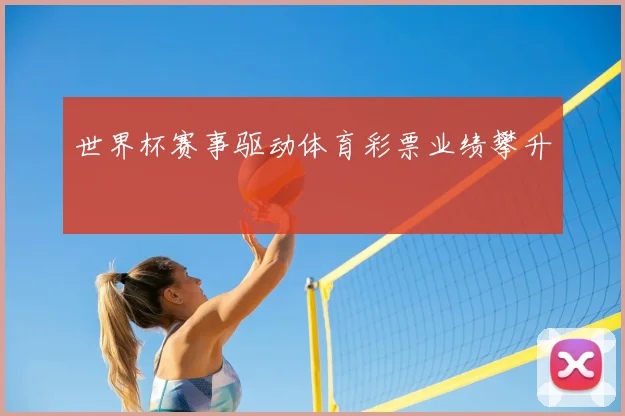 世界杯赛事驱动体育彩票业绩攀升