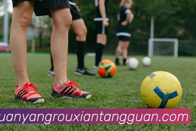 足球世界杯官网中文版APP 封面图